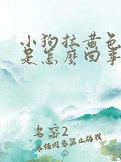 小狗拉黄色的尿是怎么回事