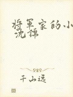 将军家的小娘子 沈锦 将军家的小娘子 沈锦