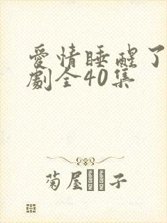 爱情睡醒了电视剧全40集