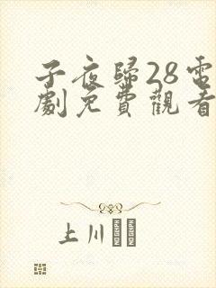 子夜归28电视剧免费观看全集高清