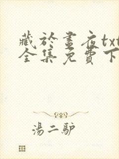 藏于昼夜txt全集免费下载完整版