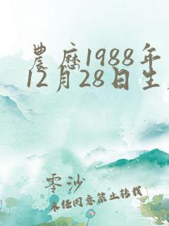 农历1988年12月28日生辰八字 农历1988年12月28日生辰八字