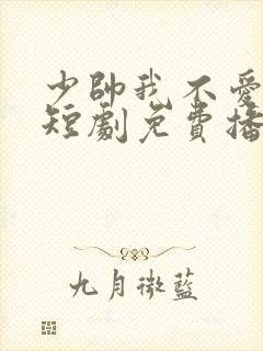少帅我不爱你了短剧免费播放最新章