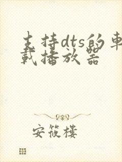 支持dts的车载播放器