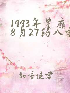 1993年农历8月27的八字