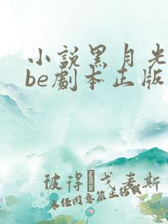 小说黑月光拿稳be剧本正版免费