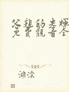 父亲的光辉短剧免费观看全集完整版