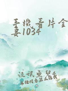 手机看片金沙人妻1034