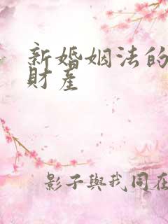 新婚姻法的婚前财产
