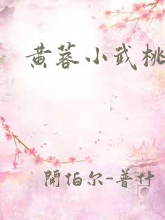 黄蓉小武桃花岛