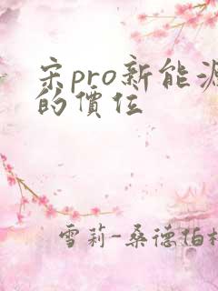 宋pro新能源的价位