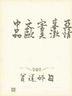 中文字幕亚洲精品欧美激情