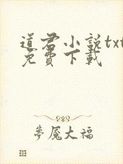 道君小说txt免费下载