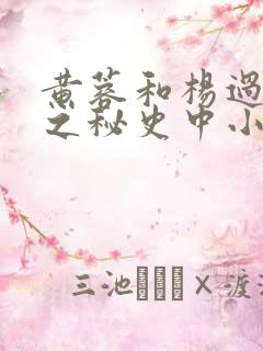黄蓉和杨过荒岛之秘史中小说