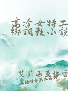 高冷女特工被捆绑调教小说片段