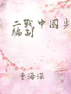 二战中国步兵师编制