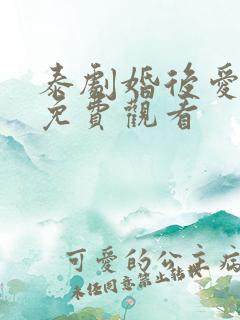 泰剧婚后爱上你免费观看