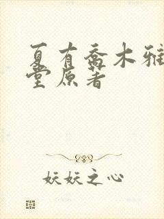 夏有乔木雅望天堂原著
