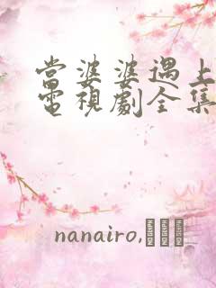 当婆婆遇上的妈电视剧全集免费观看