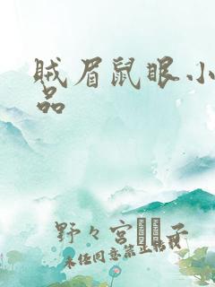 贼眉鼠眼小说作品