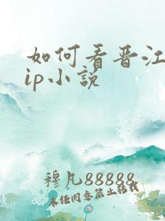 如何看晋江的vip小说