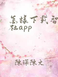怎样下载智慧人社app