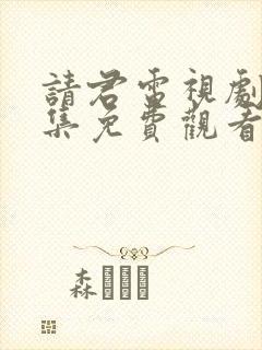 请君电视剧40集免费观看全集