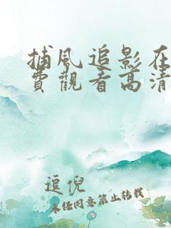 捕风追影在线免费观看高清