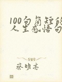 100句简短的人生感悟句子 100句简短的人生感悟句子