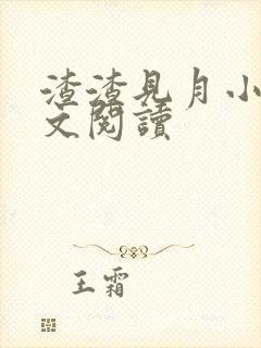 渣渣见月小说全文阅读
