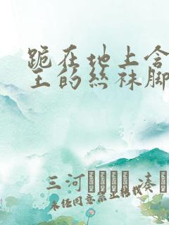 跪在地上含着女王的丝袜脚