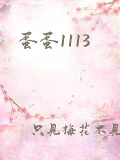 蛋蛋1113