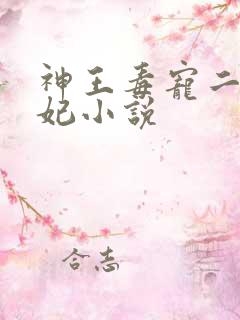神王毒宠二嫁王妃小说