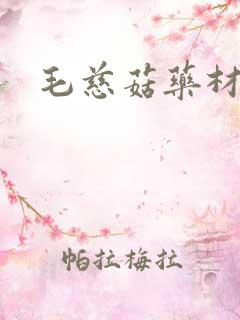 毛慈菇药材种苗