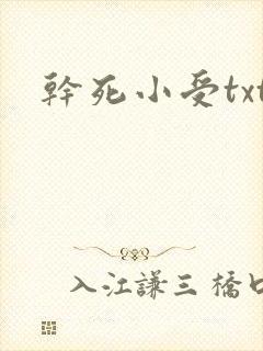 干死小受txt