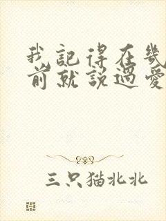 我记得在几百年前就说过爱你是什么歌