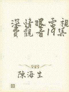 深情眼电视剧免费观看19集