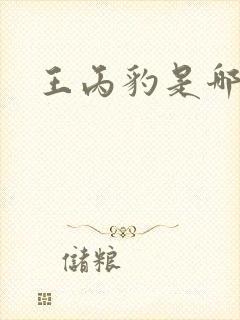 王丙豹是哪里人