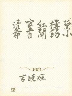 清穿红楼黛玉四爷有关的小说