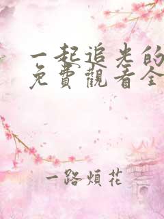 一起追光的日子免费观看全集