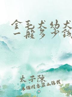金毛犬幼犬价格一般多少钱一只