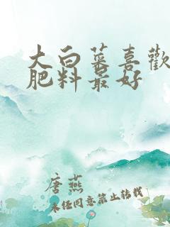 大白菜喜欢什么肥料最好