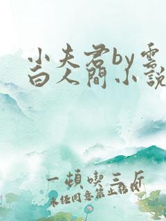 小夫君by云上白人间小说在线阅读免费