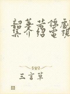 韶华若锦剧情分集介绍电视猫