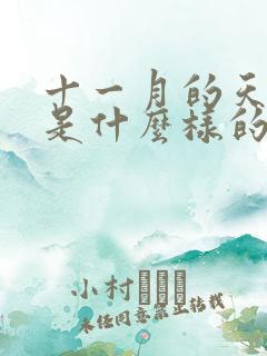十一月的天蝎女是什么样的