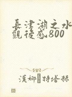 长津湖之水门桥观后感800