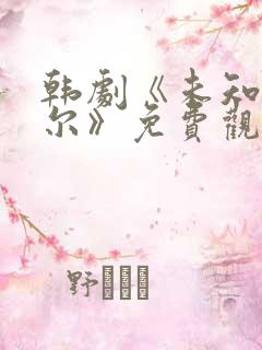 韩剧《未知的首尔》免费观看