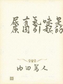 尿有气味是什么原因引起的