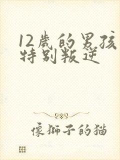 12岁的男孩子特别叛逆