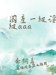 国产一级淫片a级aaa